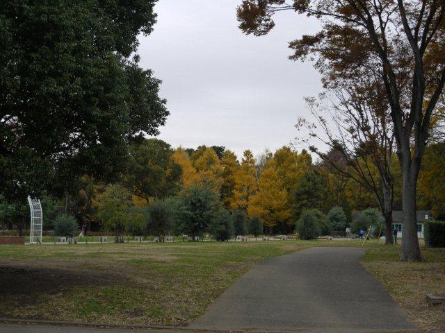 今年最後の火曜ウォークで渋谷区を歩いてきました_b0175688_2052272.jpg
