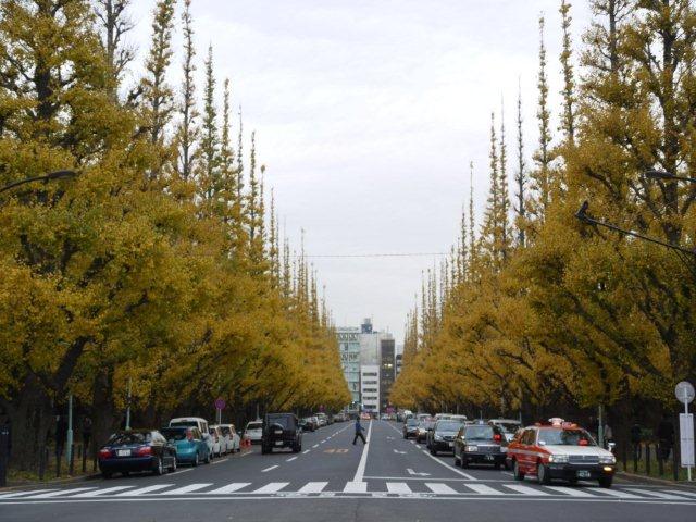今年最後の火曜ウォークで渋谷区を歩いてきました_b0175688_21101616.jpg