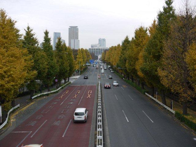 今年最後の火曜ウォークで渋谷区を歩いてきました_b0175688_2114621.jpg