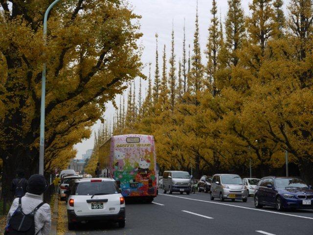 今年最後の火曜ウォークで渋谷区を歩いてきました_b0175688_2183447.jpg