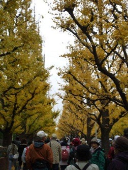 今年最後の火曜ウォークで渋谷区を歩いてきました_b0175688_2194448.jpg