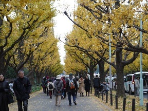 今年最後の火曜ウォークで渋谷区を歩いてきました_b0175688_2195852.jpg