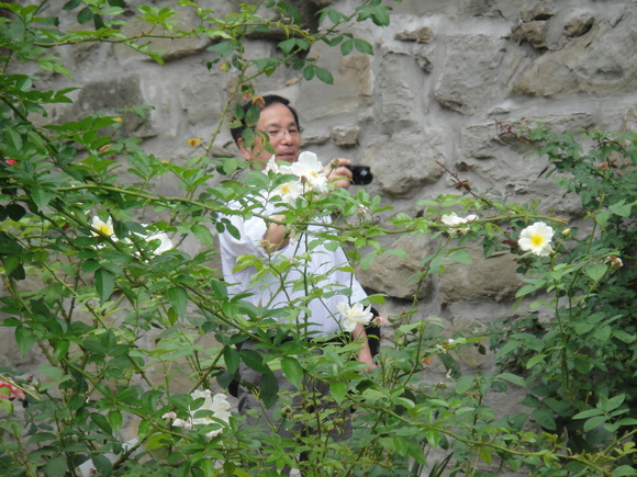 e0203793_875060.jpg