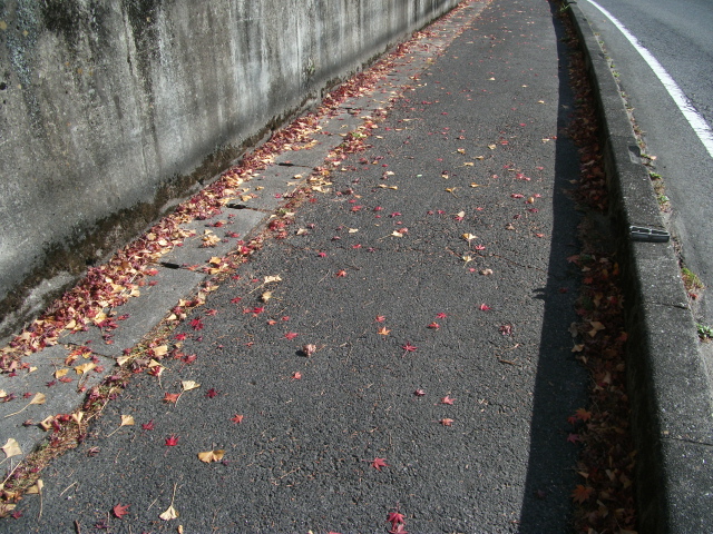 a0194797_1451458.jpg