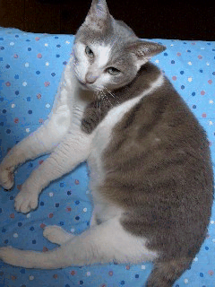 b0172497_20332458.gif