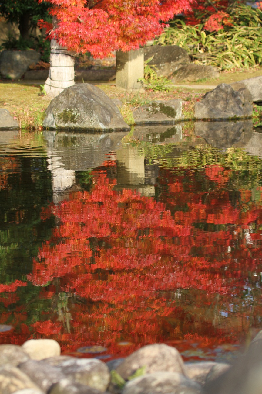 庭園の華やぎ　　　　≪　　　紅葉風景　　　　≫_a0140000_21134367.jpg