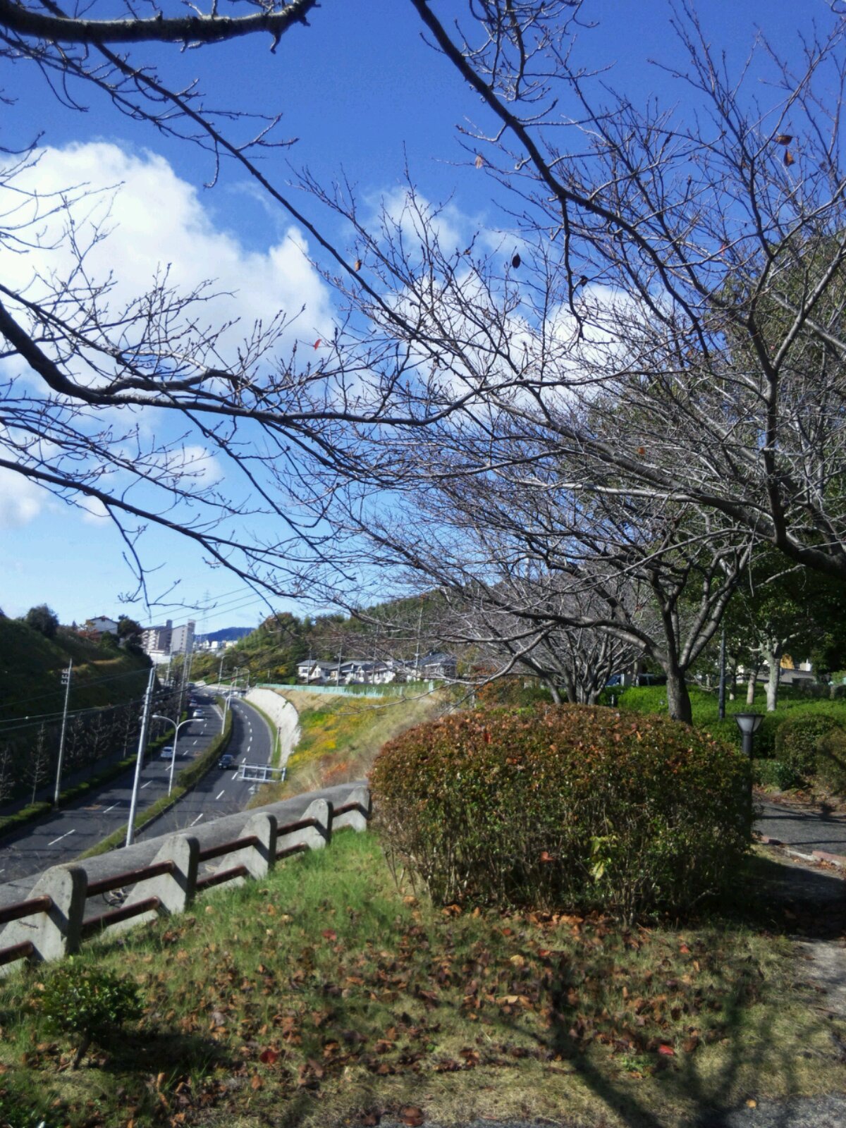 a0075802_22431681.jpg