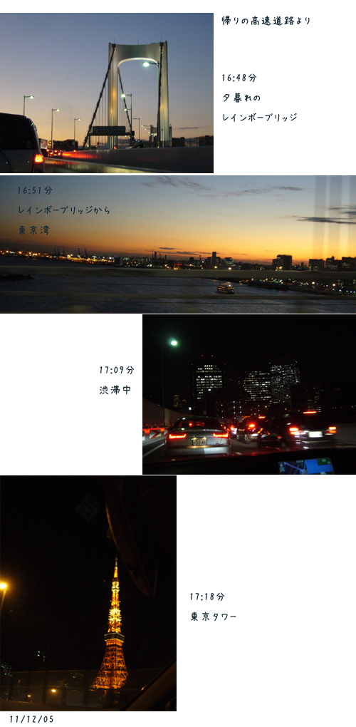 ナッタンとサンリオへ_c0051105_049197.png