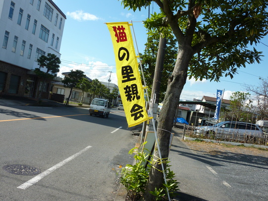 d0171907_12543998.jpg