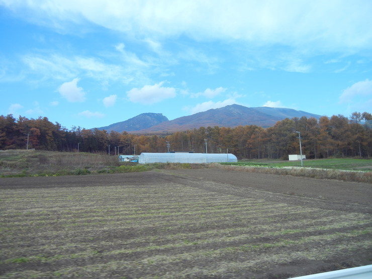 f0116707_16365095.jpg