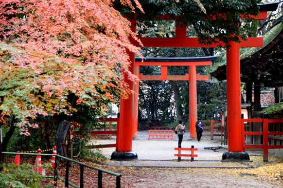 下鴨　河合神社_e0048413_1339458.jpg