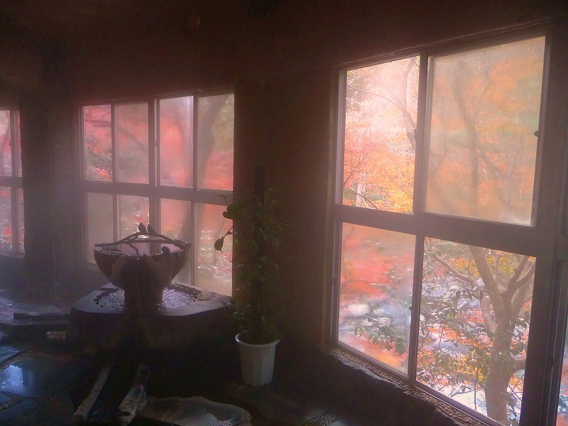 f0182513_21172585.jpg