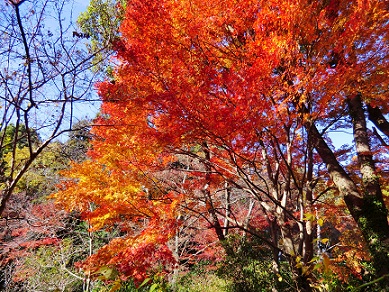 c0185914_1604944.jpg