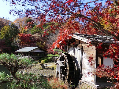 c0185914_1615812.jpg