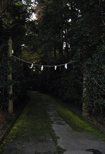e0020214_19282448.gif