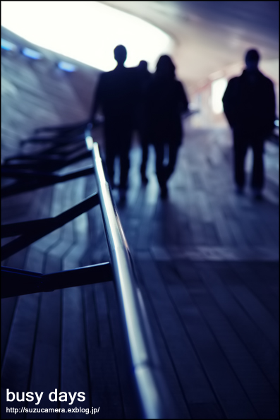忙しい日々_f0100215_2311444.jpg