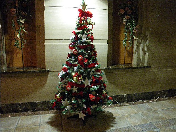 f0118332_22514572.jpg