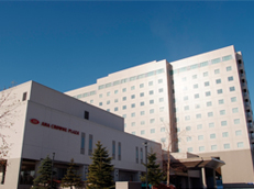 f0209434_13304946.jpg