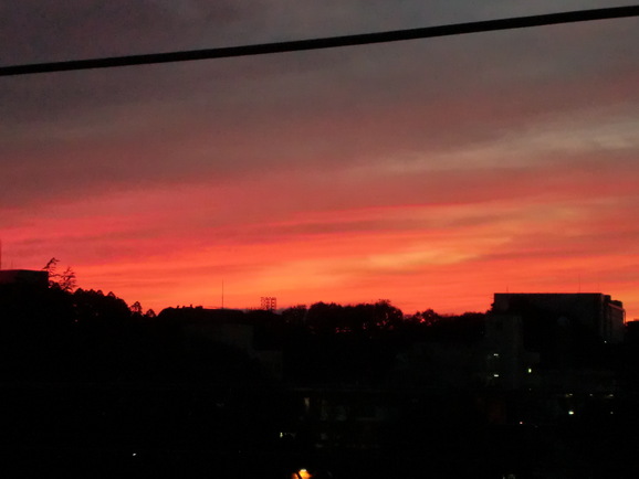 b0197735_21431569.jpg