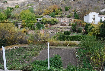 e0120938_18401846.jpg