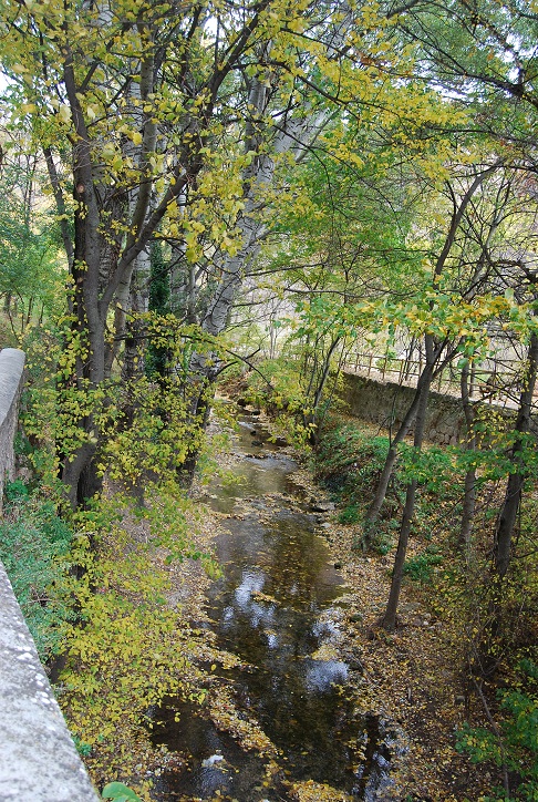 e0120938_18434161.jpg