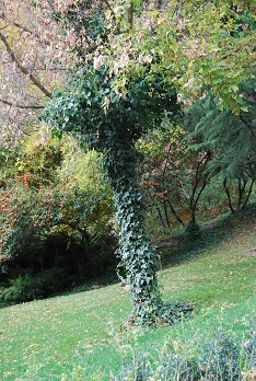 e0120938_1844924.jpg