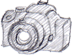 c0029442_4525176.gif