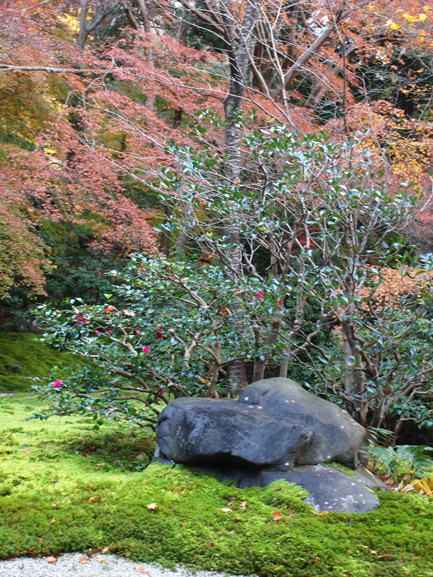 大原の八瀬離宮・・・_a0232543_11354516.jpg