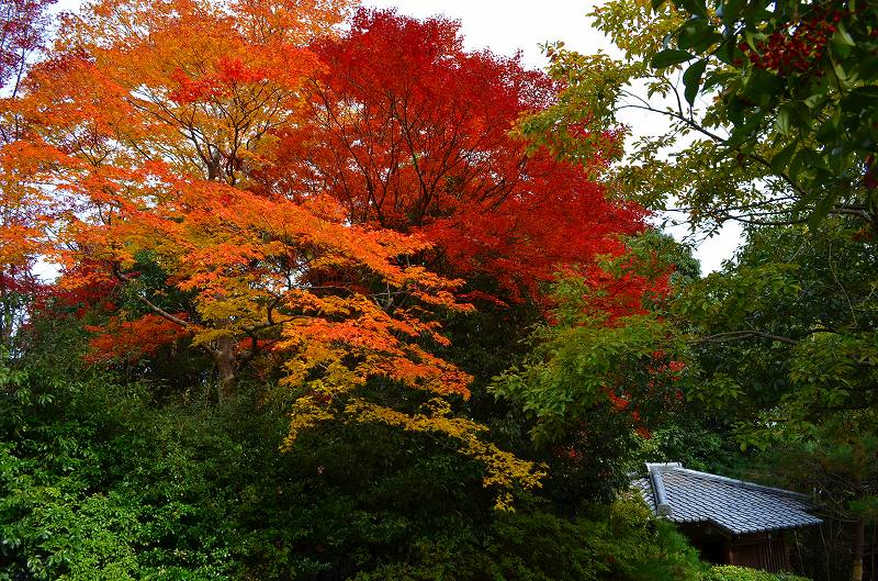 嵐山の紅葉2011_e0237645_0395281.jpg