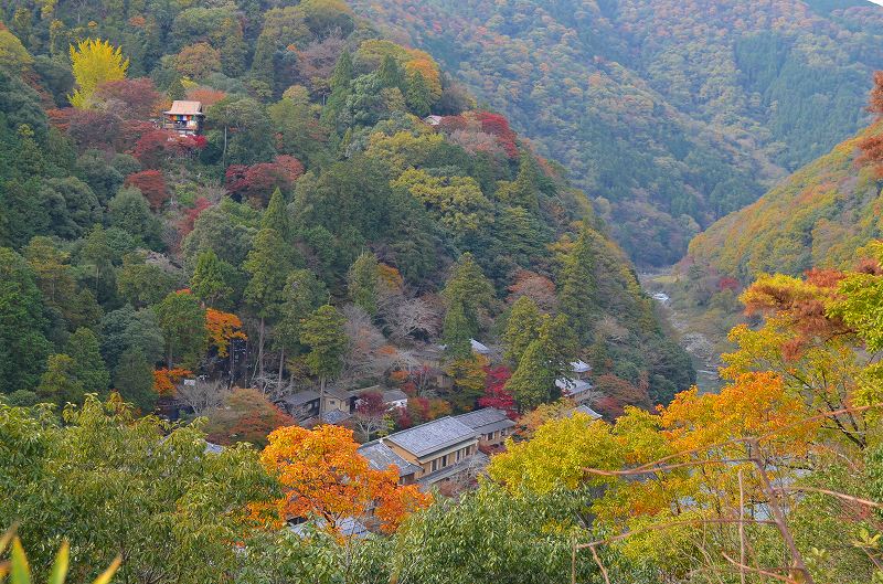 嵐山の紅葉2011_e0237645_0401073.jpg