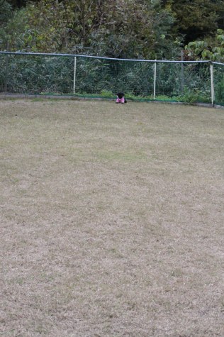 d0175746_0541257.jpg
