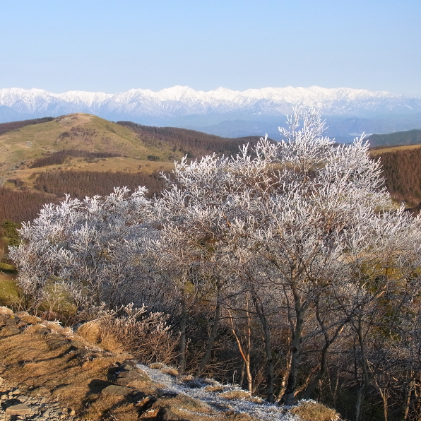 b0147449_19342862.jpg