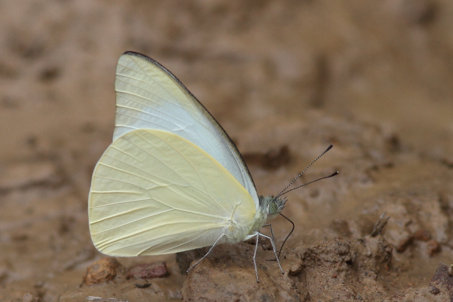 a0094850_1145791.jpg