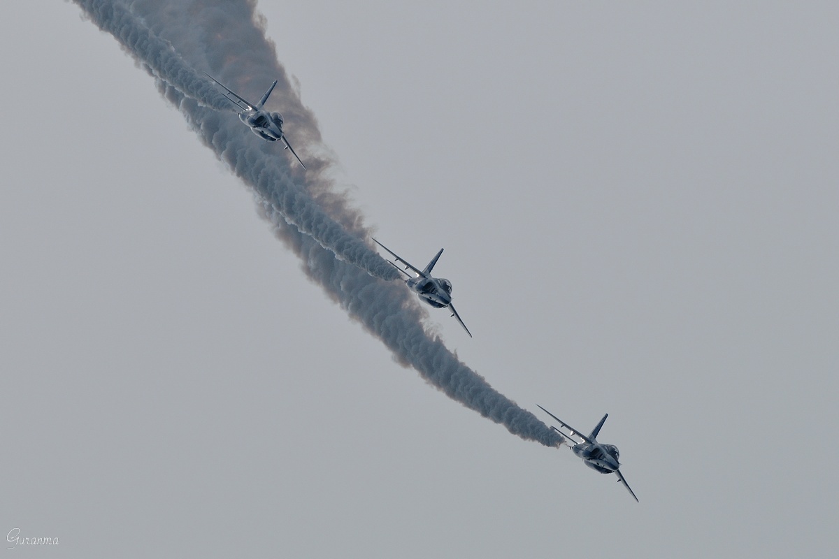 ２０１１岐阜基地航空祭・・・Ⅲ_c0124055_1937520.jpg