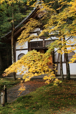 京都・奈良の旅 3 - 法然院から安楽寺へ_f0214858_23331856.jpg