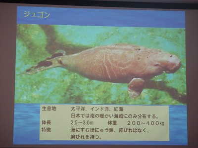 c0180460_1381537.jpg