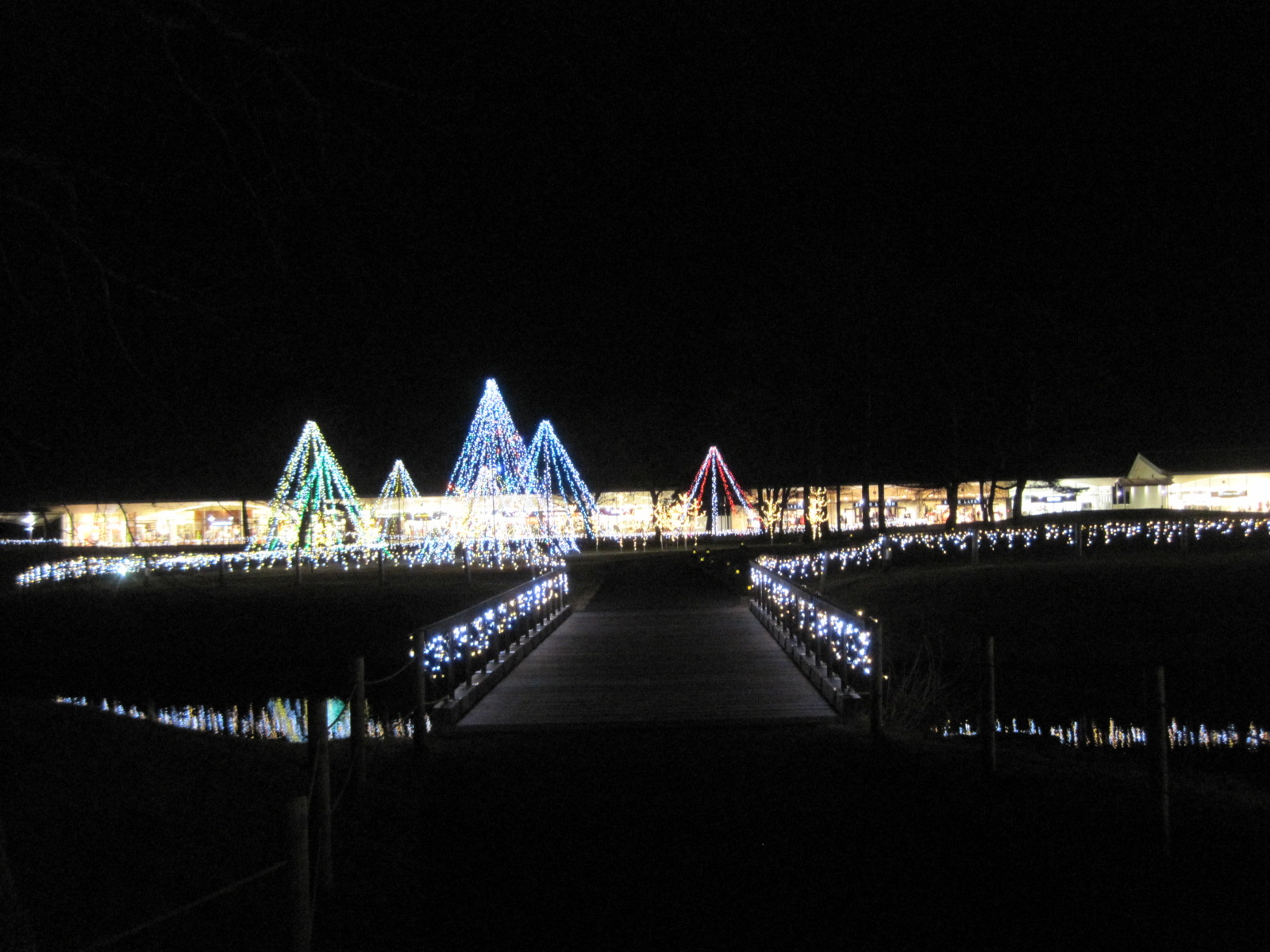 f0236260_1103434.jpg