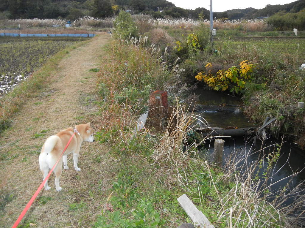 2011年12月9日(金)松葉杖も半ギブスもさようなら~!_f0060461_13474966.jpg