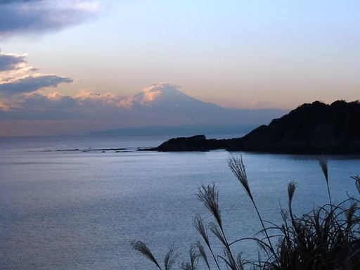 湯気が立ち上る海 湘南こはる日和 湯気が立ち上る海 湘南こはる日和