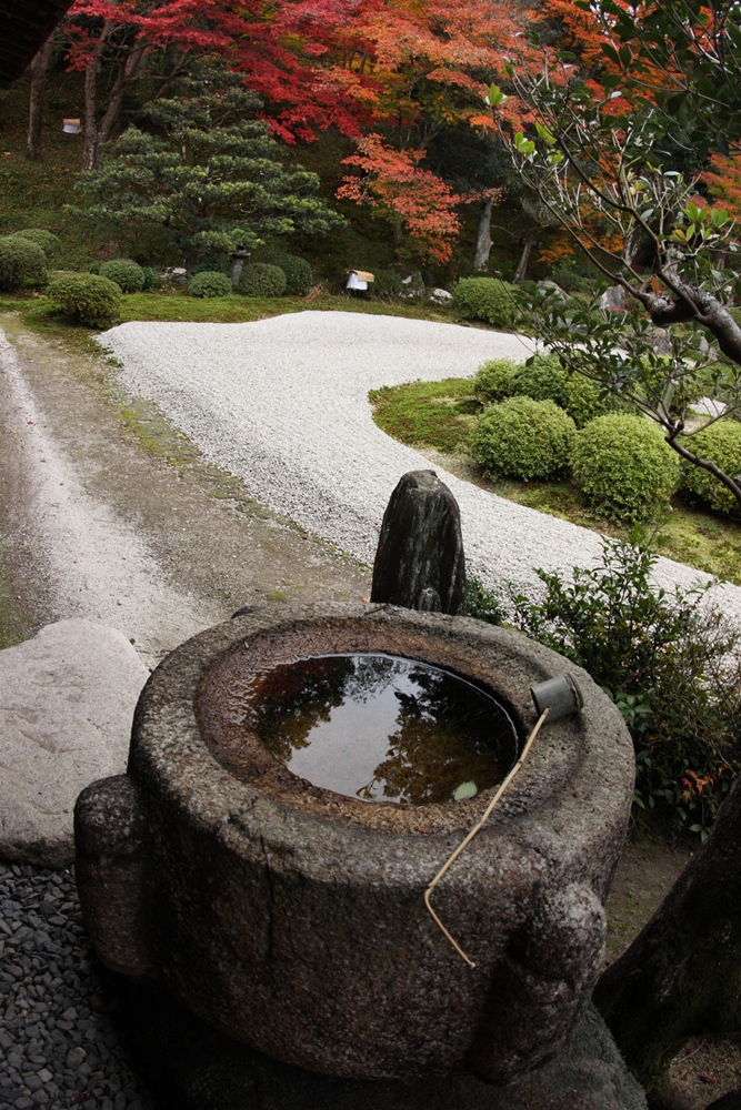 2011 紅葉-曼殊院-_c0153672_20542361.jpg