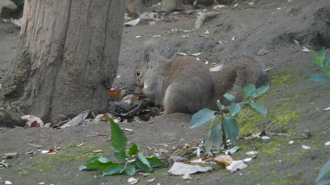 a0185081_154404.jpg