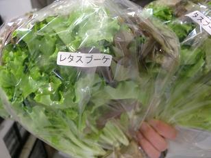 レタスブーケ_f0172281_6203110.jpg