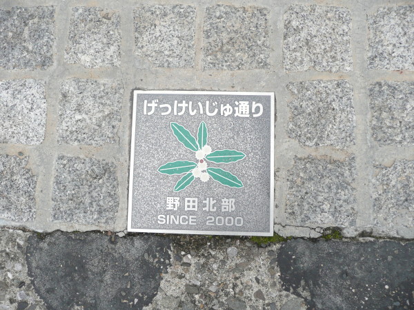 JR西日本鷹取駅周辺の散策 その6 野田北部地域の路地整備事業_b0118987_642757.jpg