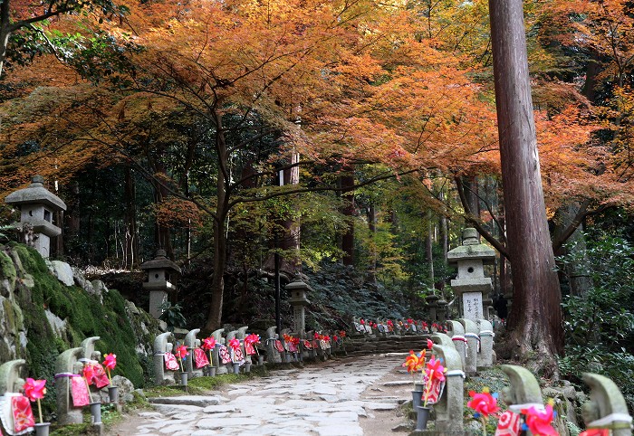 湖東三山 (その2)　－ 金剛輪寺　－_f0000789_8194213.jpg