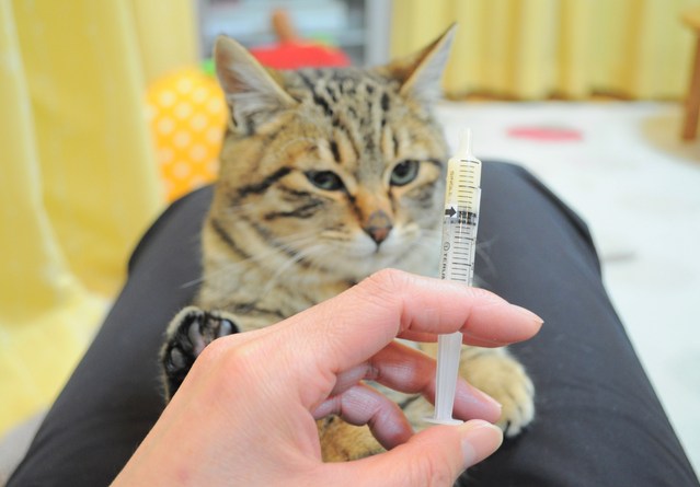 お薬ゴックン!_a0126590_5305449.jpg