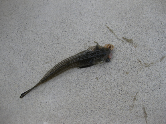 ★冬の南房総へ★_e0147297_15312564.jpg