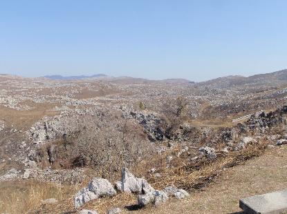 e0077899_6363412.jpg