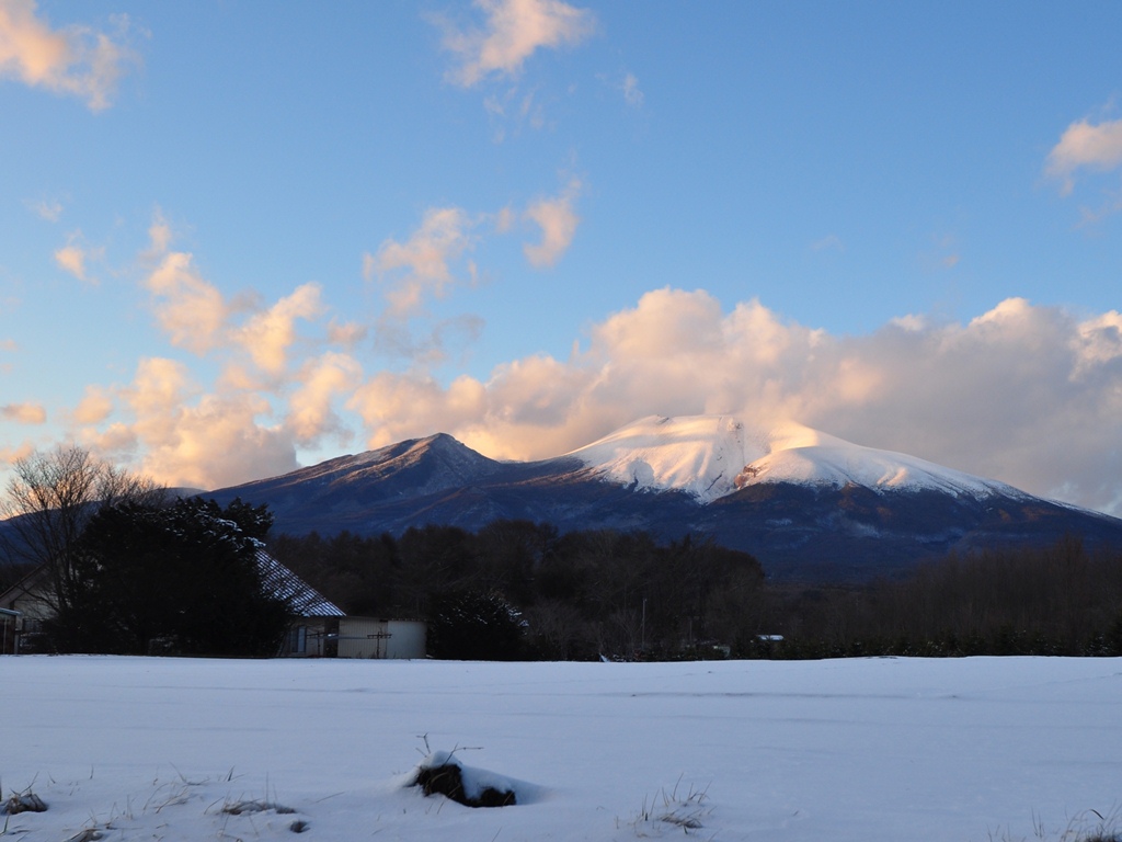 夕焼雲と冠雪の浅間山_b0228502_135116.jpg