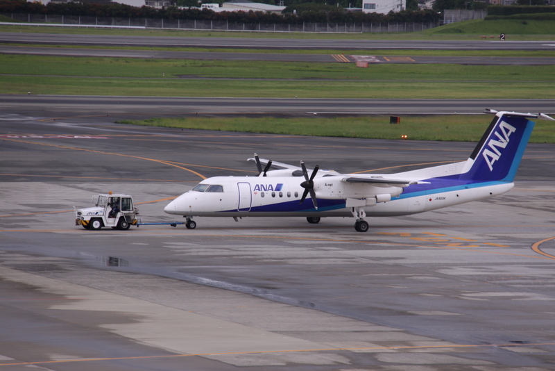 d0248502_935438.jpg