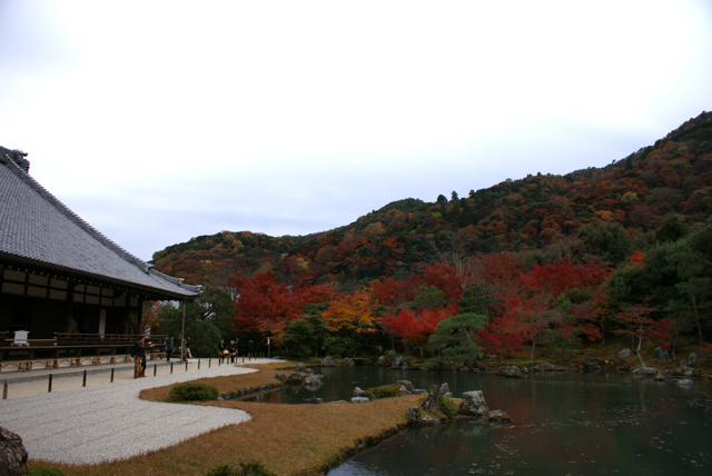 紅葉2011秋〜嵐山〜。_f0179202_2012589.jpg